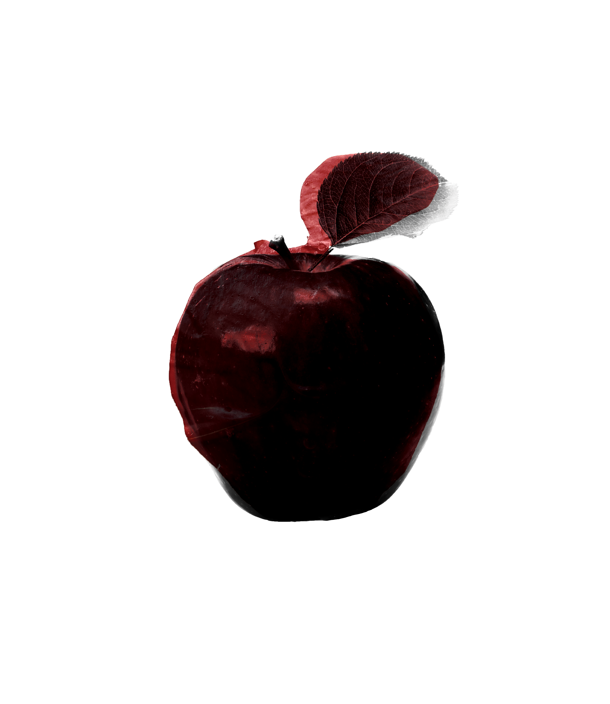 Apple from the farm orchard
